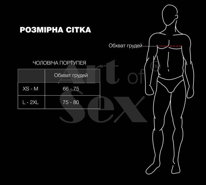 Чоловіча портупея Art of Sex - Spartacus, екошкіра, колір чорний, розмір XS-M SX3401 фото - купити в секс-шопі Чорний Кролик