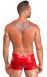 Чоловічі шорти Noir Handmade H097 Ignite shorts M SX4218 фото 4