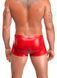 Чоловічі шорти Noir Handmade H097 Ignite shorts L SX4219 фото 2