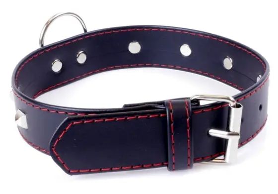 Нашийник із штучної шкіри з металевими заклепками Fetish Boss Series - Collar with studs Red Line, BS3300113 BS3300113 фото - купити в секс-шопі Чорний Кролик