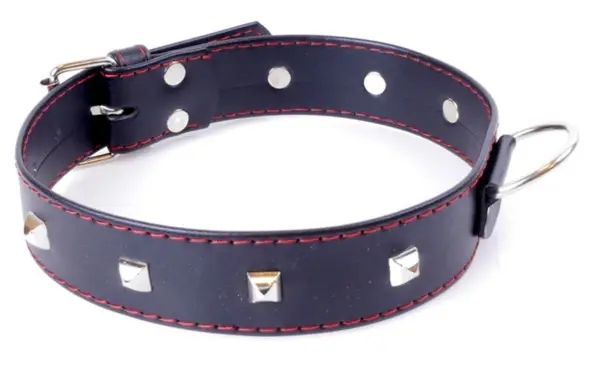 Нашийник із штучної шкіри з металевими заклепками Fetish Boss Series - Collar with studs Red Line, BS3300113 BS3300113 фото - купити в секс-шопі Чорний Кролик