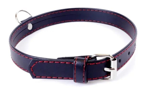 Нашийник зі штучної шкіри Fetish Boss Series - Collar Red Line, BS3300112 BS3300112 фото - купити в секс-шопі Чорний Кролик