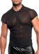 Чоловіче поло Noir Handmade H082 Onyx veil polo M SX4173 фото 4