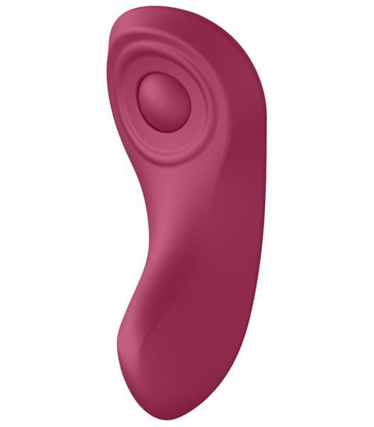 Набір Satisfyer Partner Box 1 (вібратор для пар Double Joy + вібратор у трусики Sexy Secret) SO7143 фото - купити в секс-шопі Чорний Кролик