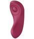 Набір Satisfyer Partner Box 1 (вібратор для пар Double Joy + вібратор у трусики Sexy Secret) SO7143 фото 8