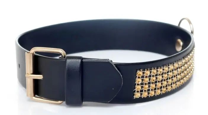 Нашийник зі штучної шкіри з кристалами Fetish Boss Series - Collar with crystals Gold, BS3300102 BS3300102 фото - купити в секс-шопі Чорний Кролик