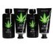 Набір для ванни і душу CBD Luxe Gift set-GREEN TEA & HEMP OIL ( 4 предмета ) PHA248 фото 3