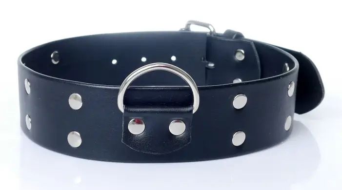 Нашийник зі штучної шкіри з шипами Fetish Boss Series - Collar with studs, BS3300098 BS3300098 фото - купити в секс-шопі Чорний Кролик