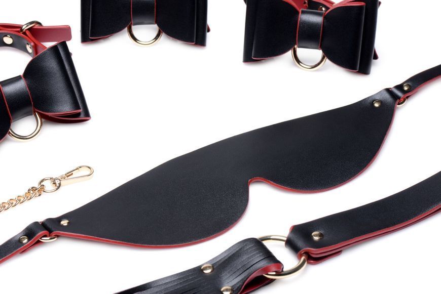 Набір БДСМ з дорожньою сумкою Master Series: Bow &mdash; Luxury BDSM Set With Travel Bag, 11 предметів SO8796 фото - купити в секс-шопі Чорний Кролик