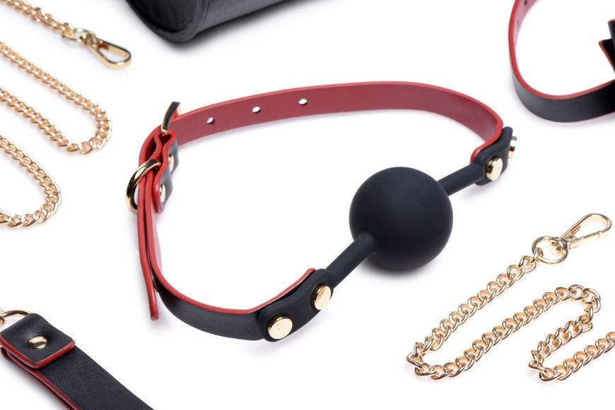 Набір БДСМ з дорожньою сумкою Master Series: Bow &mdash; Luxury BDSM Set With Travel Bag, 11 предметів SO8796 фото - купити в секс-шопі Чорний Кролик