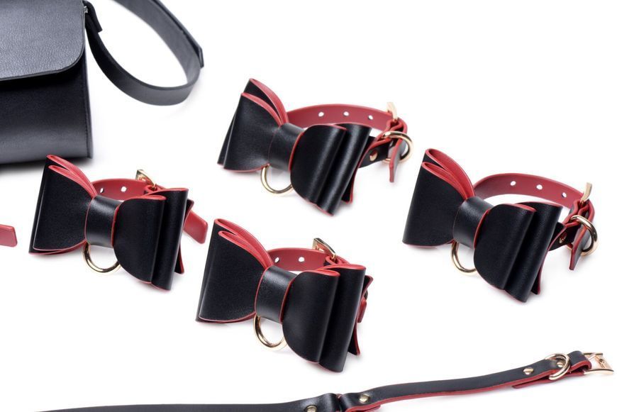Набір БДСМ з дорожньою сумкою Master Series: Bow &mdash; Luxury BDSM Set With Travel Bag, 11 предметів SO8796 фото - купити в секс-шопі Чорний Кролик
