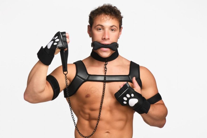 Набір BDSM цуценя Master Series Luxury Pup Arsenal Set - Black SX1194 фото - купити в секс-шопі Чорний Кролик