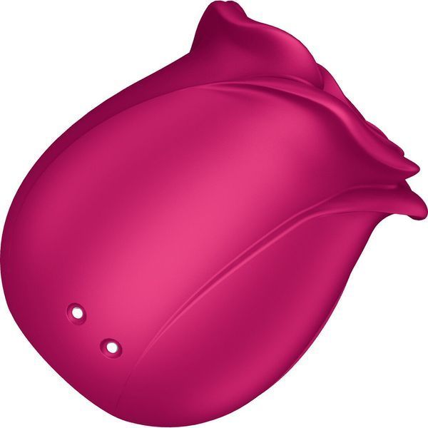 Вакуумний кліторальний стимулятор Satisfyer Pro 2 Classic Blossom, технологія Liquid Air SO8775 фото - купити в секс-шопі Чорний Кролик