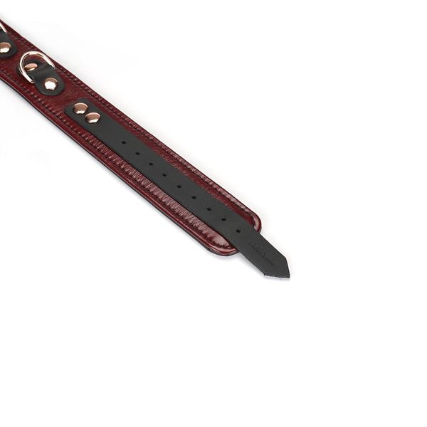 Шкіряний нашийник з повідцем Liebe Seele Wine Red Collar and Leash, 3 кільця для кріплення SO9451 фото - купити в секс-шопі Чорний Кролик