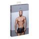 Чоловічі шорти Noir Handmade H006 Men shorts, M, з мокрим ефектом SX0002 фото 5