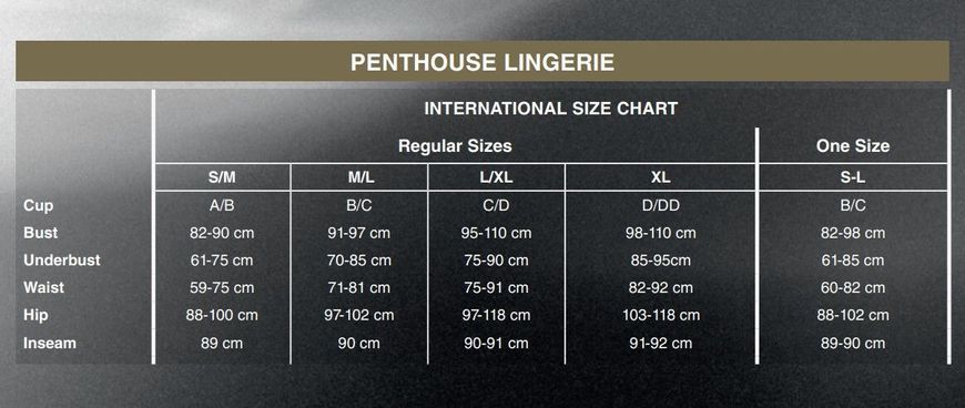 Бодістокінг із закритим боді та панчохами Penthouse - Sugar Drop XL SO5292 фото - купити в секс-шопі Чорний Кролик